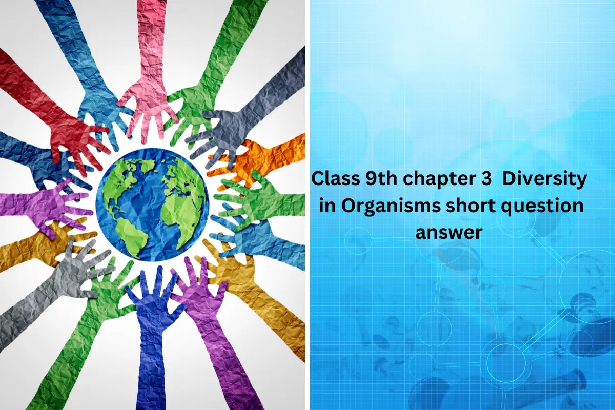 Class 9th Biology Chapter 3 Diversity in Organisms