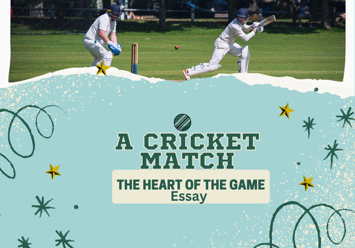 A Cricket Match: The Heart of the Game