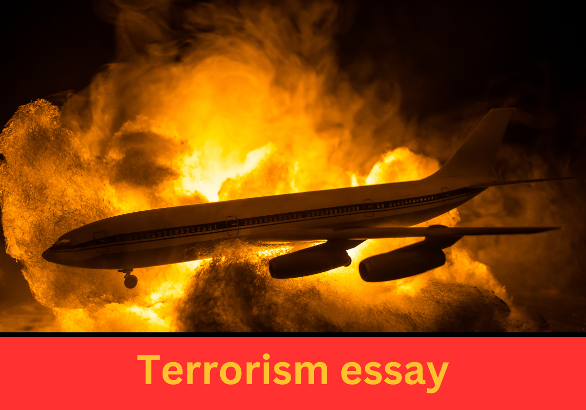Terrorism essay