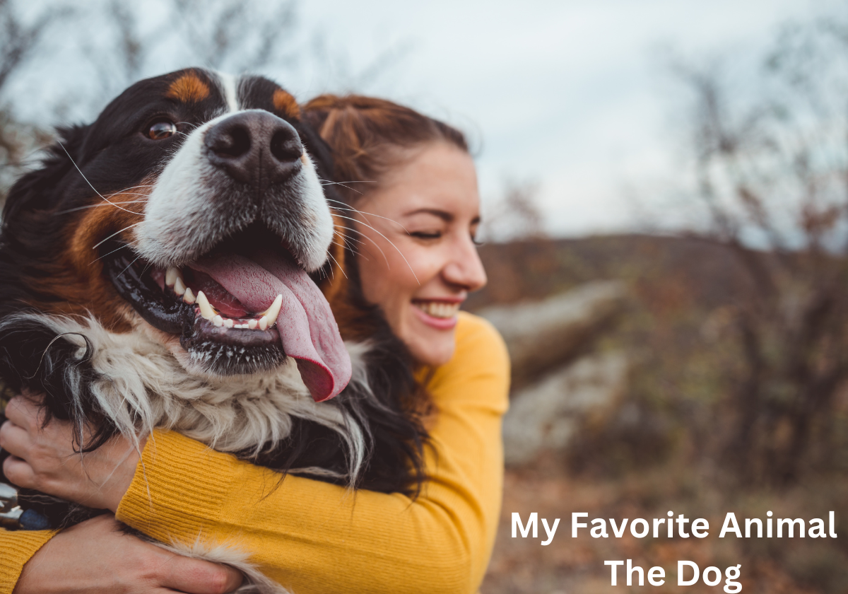 My Favorite Animal: The Dog