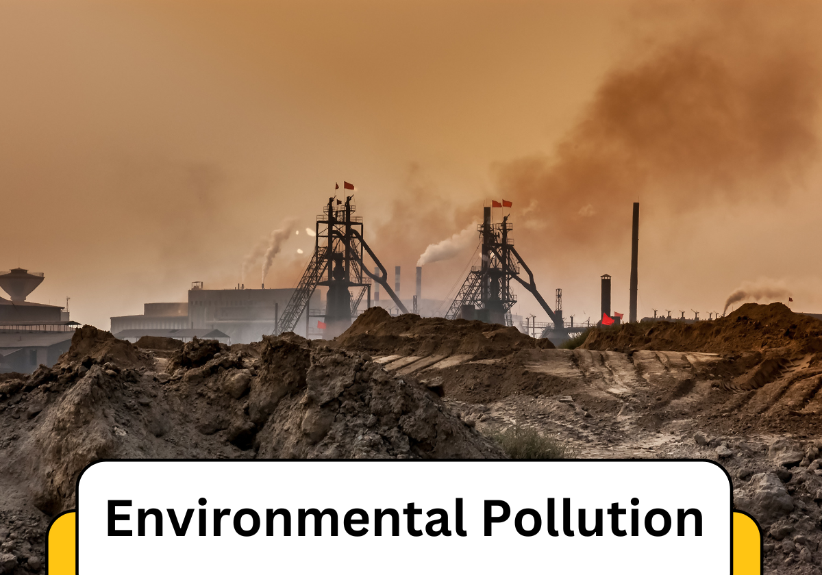 Environmental Pollution: A Great Danger To The Earth