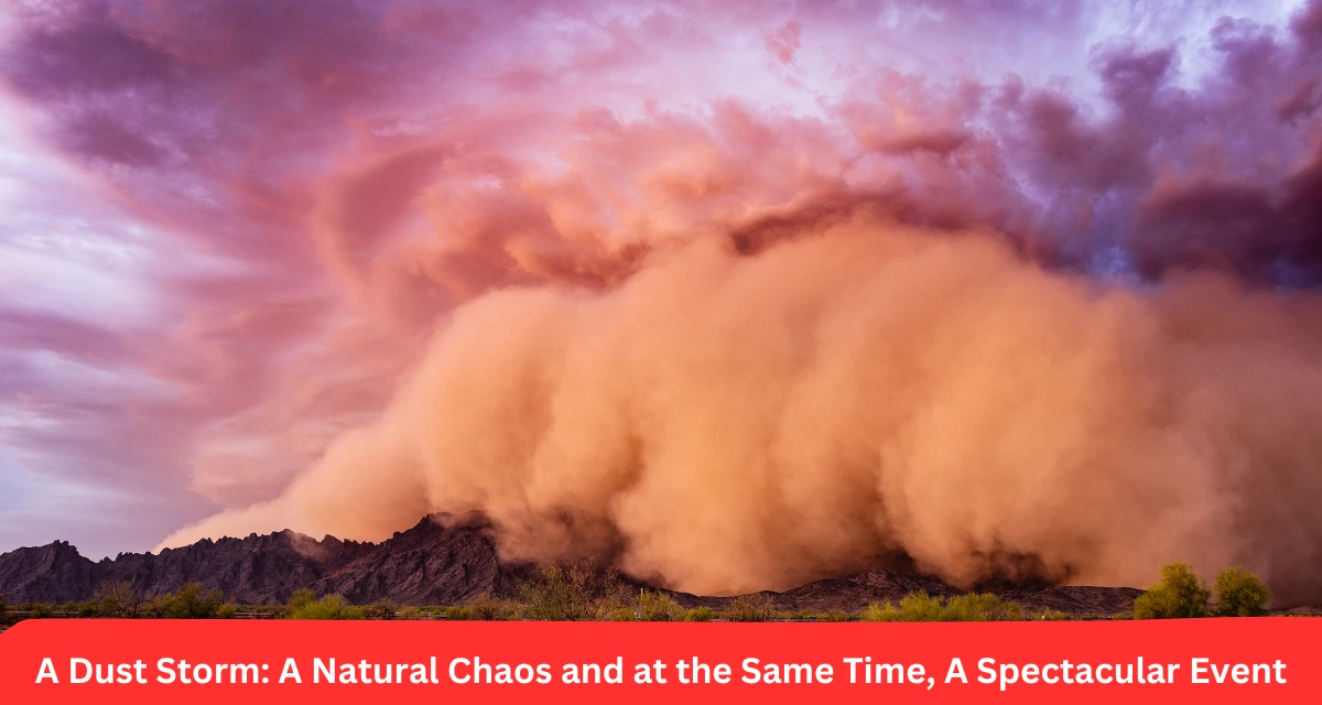 A Dust Storm: A Natural Chaos and at the Same Time, A Spectacular Event