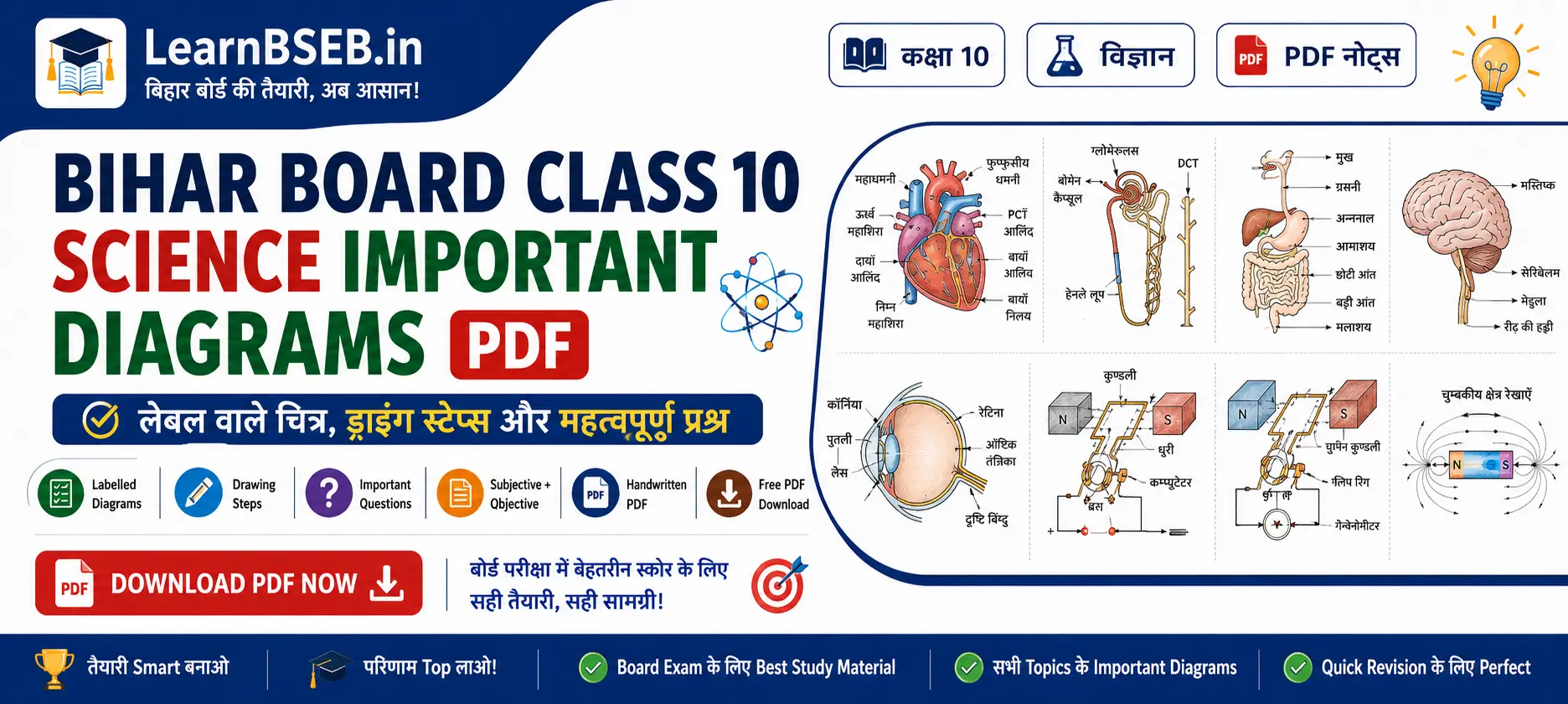 Bihar Board Class 10 Science Important Diagrams PDF Download
